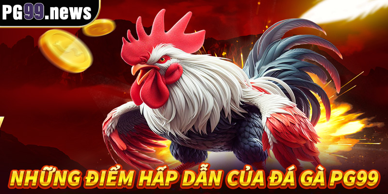 Những điểm hấp dẫn nên đến ngay đá gà Pg99